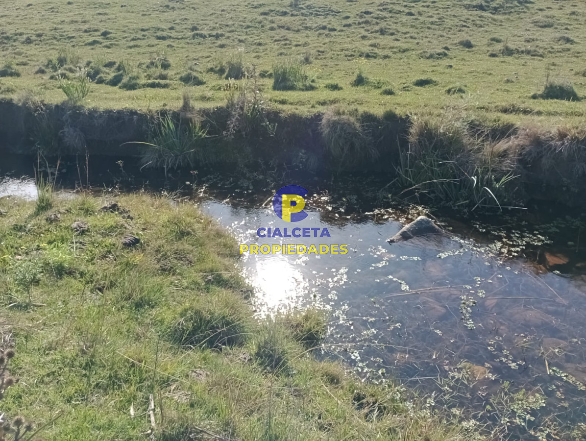 Chacra ID.445 - 14 hectáreas con 7.500 metros en Maldonado
