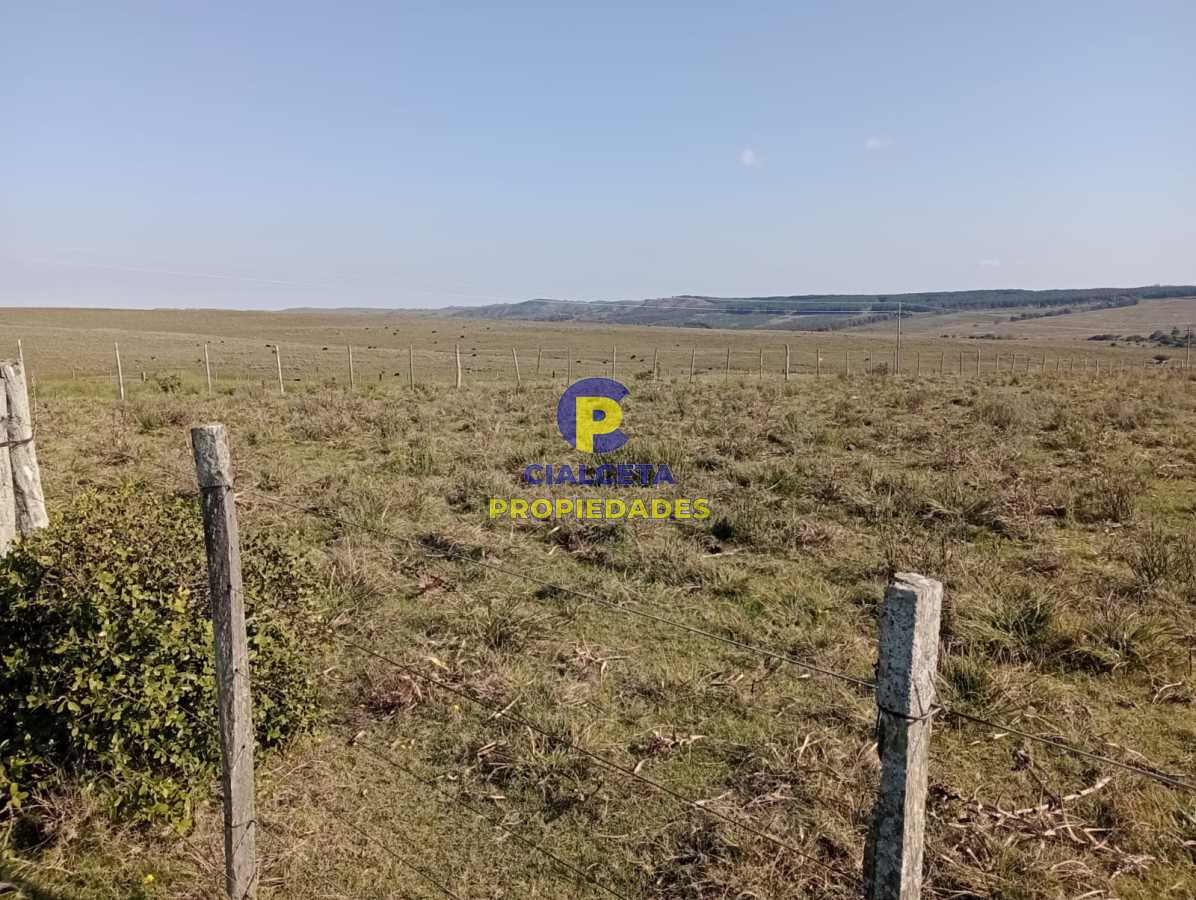 Chacra ID.445 - 14 hectáreas con 7.500 metros en Maldonado