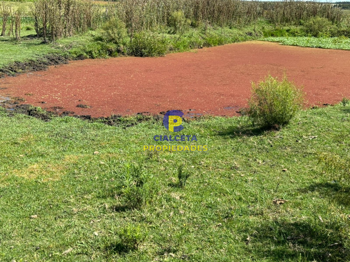 Chacra ID.406 - 14 hectáreas en Canelones