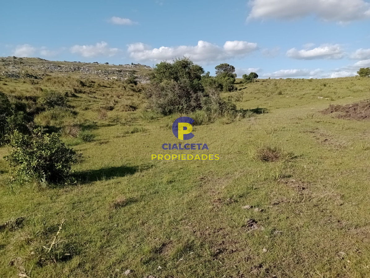 Maldonado - GoPunta - Portal Inmobiliario de Punta del Este - Maldonado