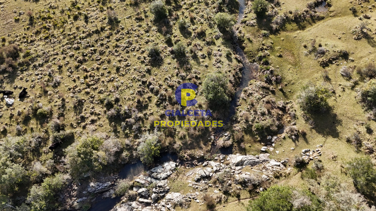 Chacra ID.485 - 7 hectáreas con cañada a 20 km de San Carlos