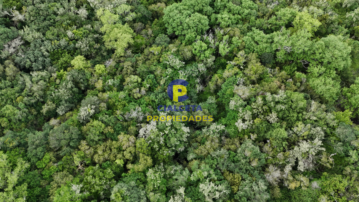 Chacra ID.561 - 5 hectáreas con monte y arroyo José Ignacio