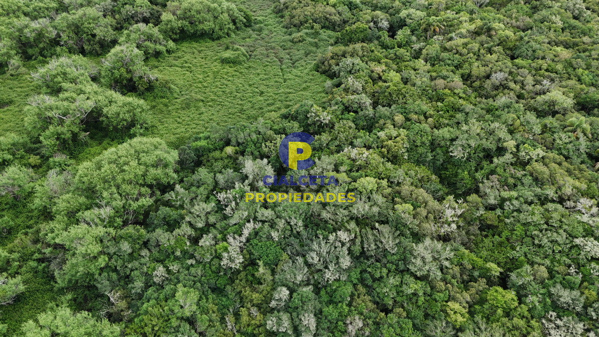 Chacra ID.560 - 4 hectáreas con 6.600 metros con monte y arroyo