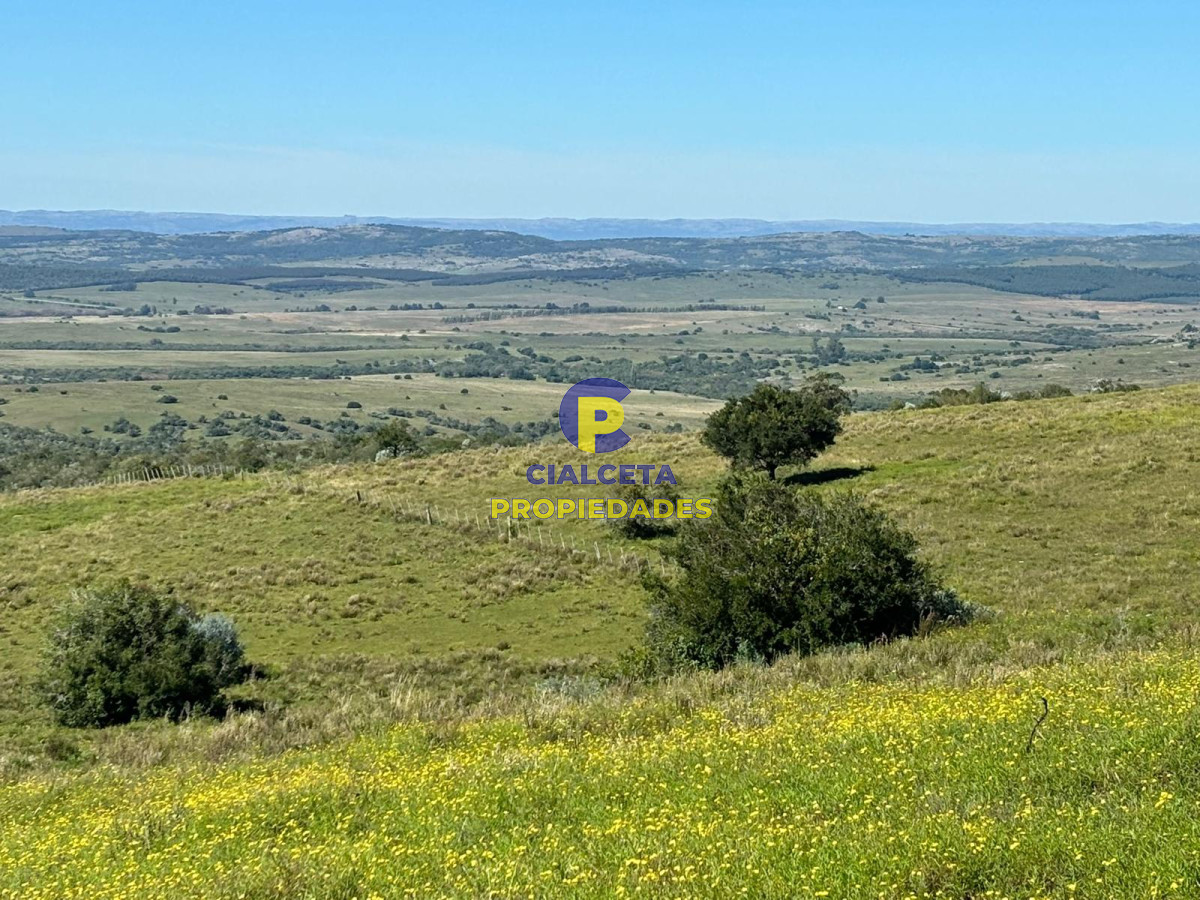 Chacra ID.422 - 5 hectáreas en Lavalleja, entrega 18.000 dólares y saldo financiado