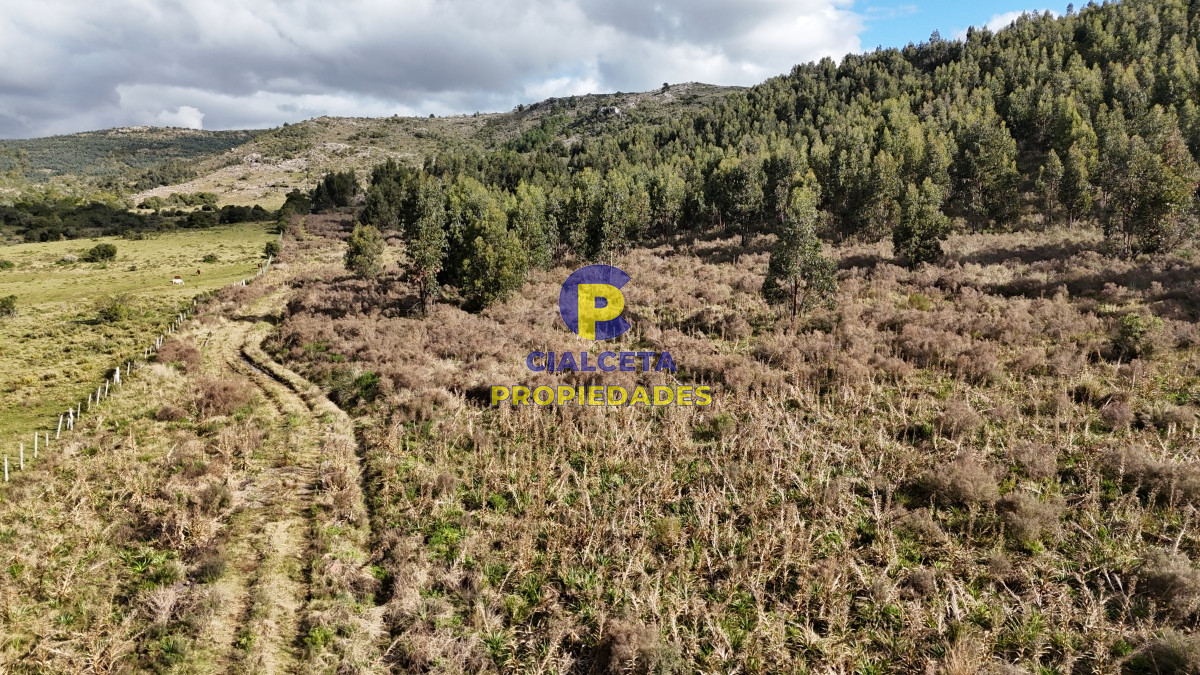 Chacra ID.458 - 5 hectáreas con entrega de 8 mil dólares se financia