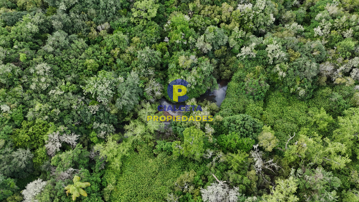 Chacra ID.561 - 5 hectáreas con monte y arroyo José Ignacio