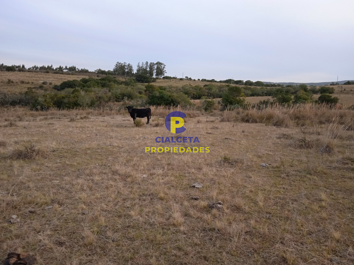 Chacra ID.157 - 10 hectáreas en Garzón