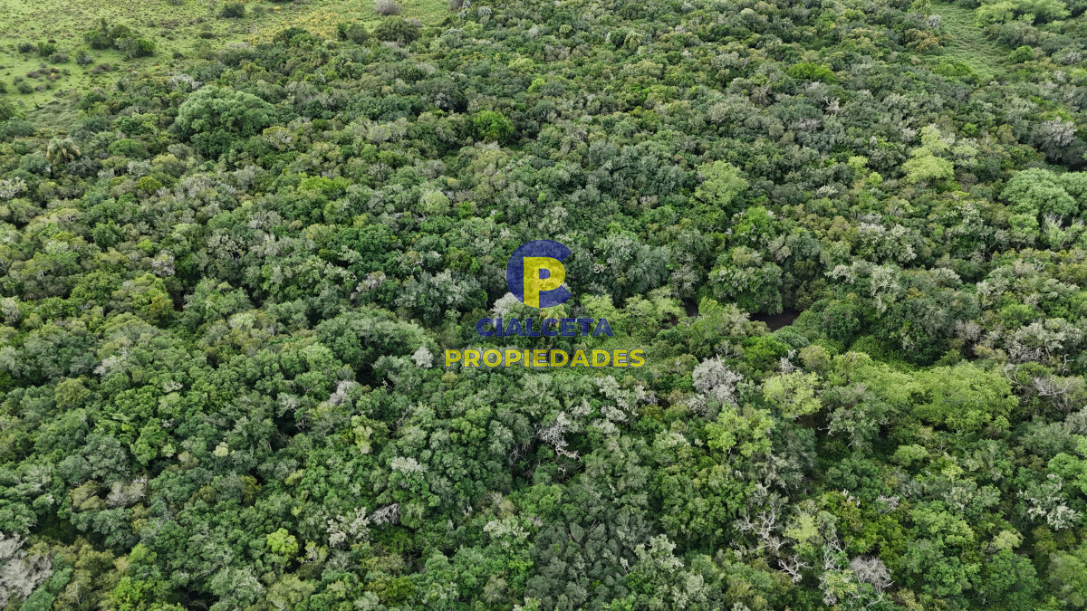 Chacra ID.561 - 5 hectáreas con monte y arroyo José Ignacio