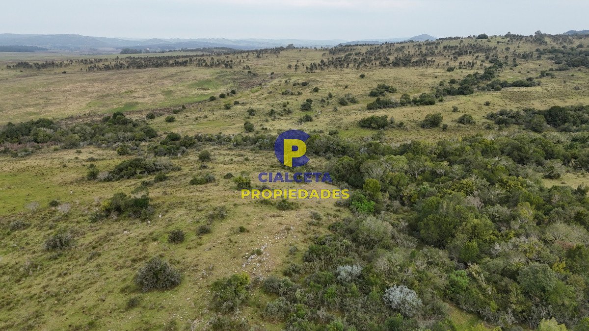 Minas - GoPunta - Portal Inmobiliario de Punta del Este - Maldonado