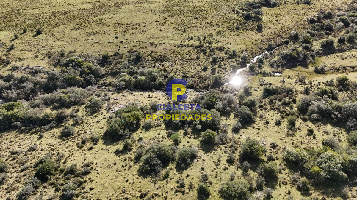 Chacra ID.485 - 7 hectáreas con cañada a 20 km de San Carlos
