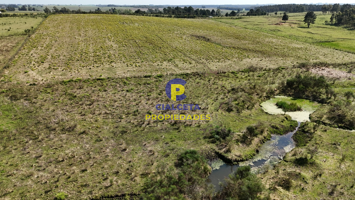 Chacra ID.527 - 3 hectáreas en Migues con aguada y linda vista