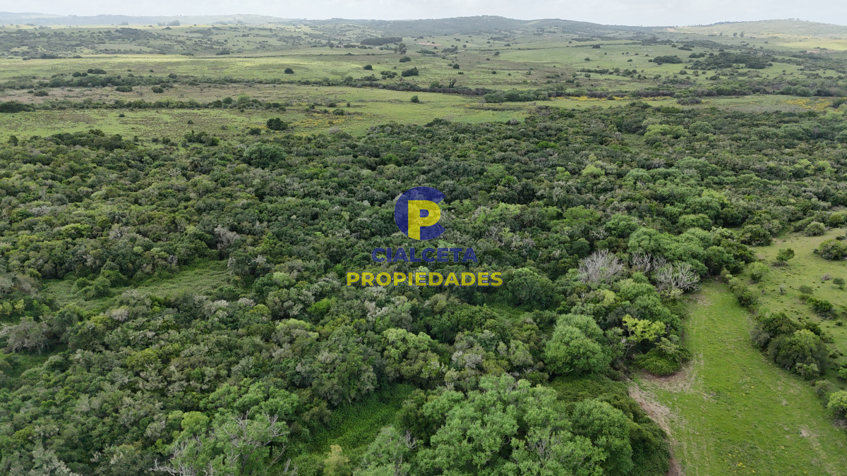 Chacra ID.561 - 5 hectáreas con monte y arroyo José Ignacio
