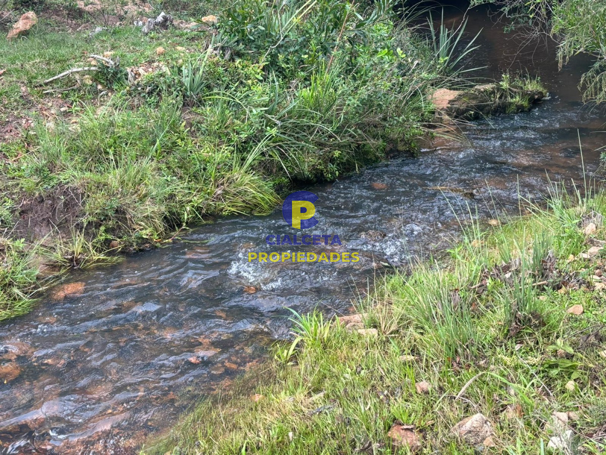 Chacra ID.407 - 3 hectáreas en Las Cañas