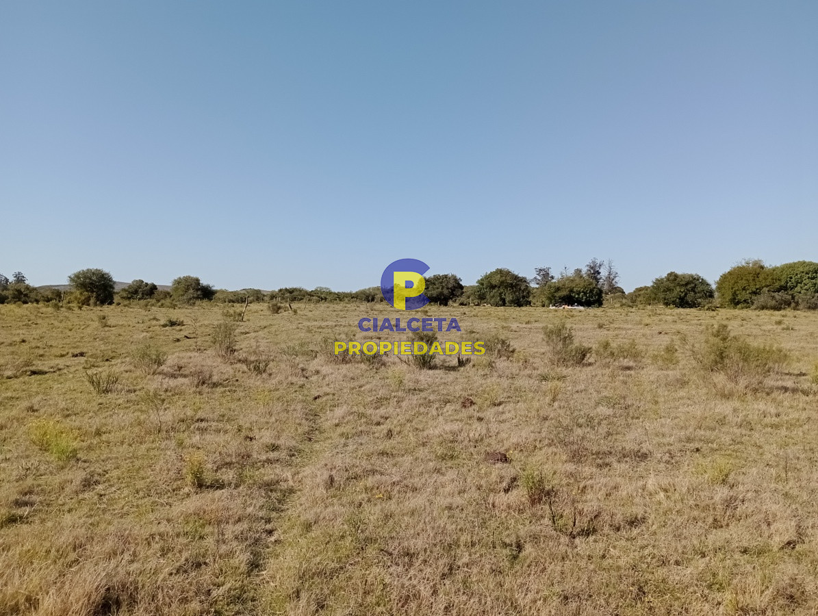 Chacra ID.213 - 11 hectáreas en Pueblo Edén
