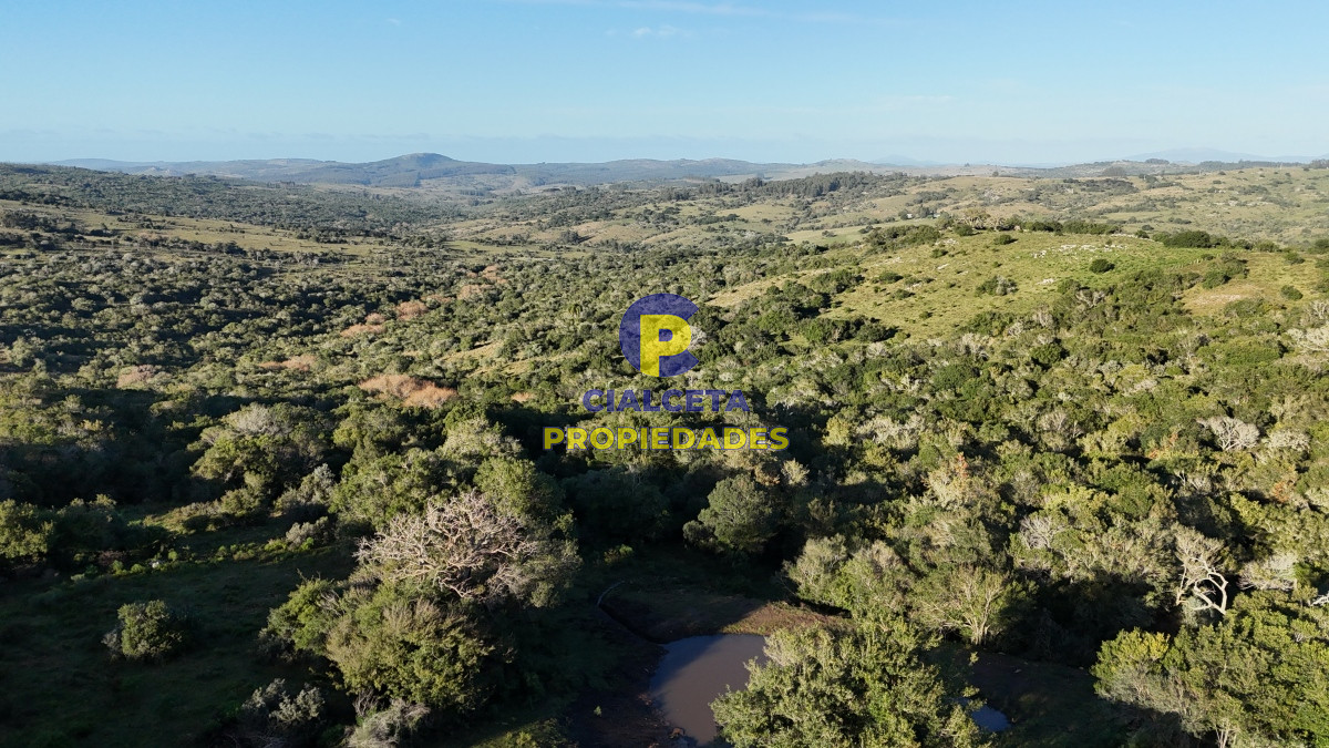 Chacra ID.456 - 4  hectáreas con monte nativo en Maldonado