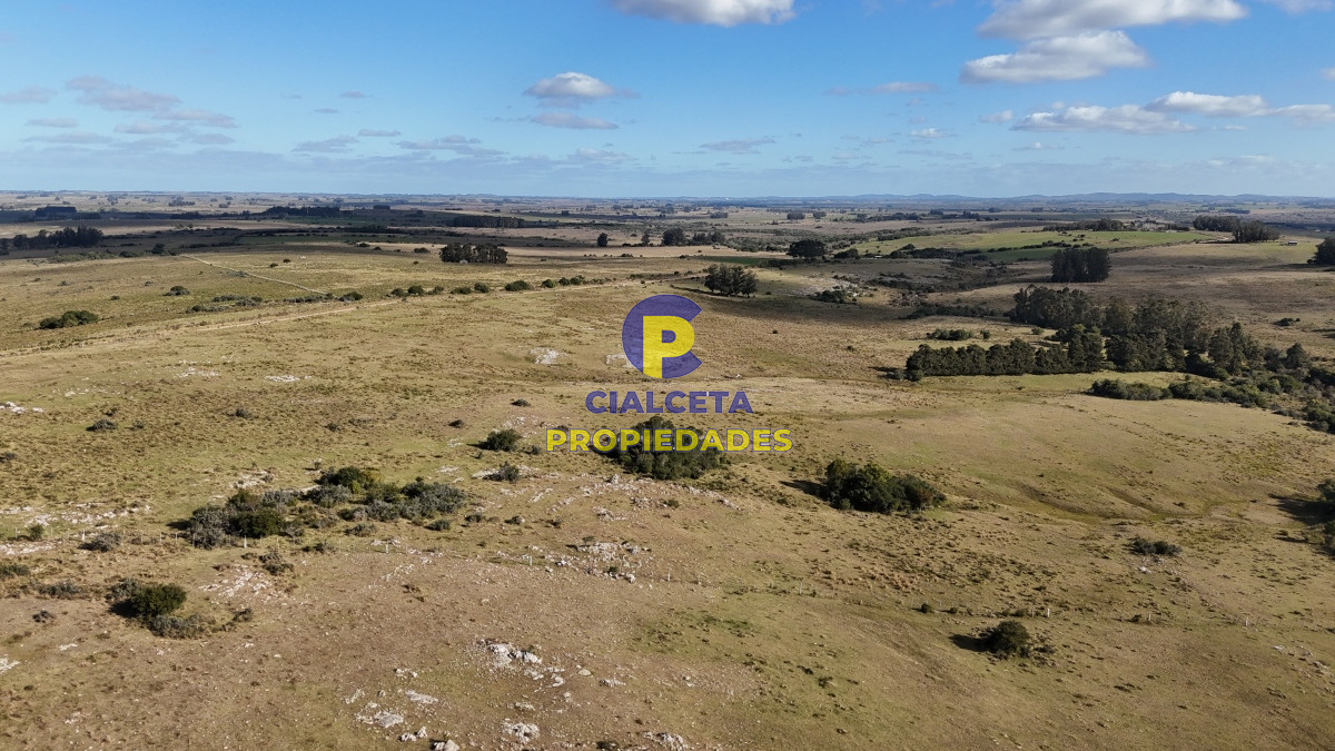 Chacra ID.485 - 7 hectáreas con cañada a 20 km de San Carlos