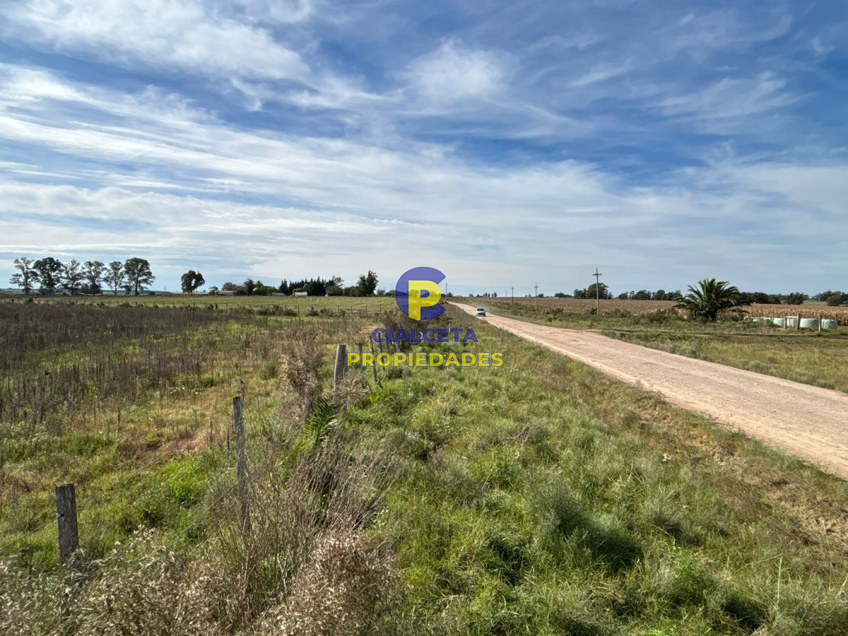 Chacra ID.432 - 3 hectáreas en Canelones, entrega 20 mil y saldo a dos años