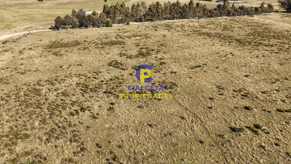 Chacra ID.480 - 4 hectáreas sobre camino a 6 km de Pueblo Edén