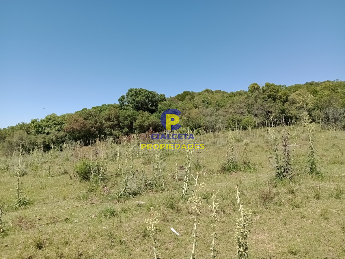 Chacra ID.302 - 5 hectáreas en Maldonado, entrega 20 mil dólares
