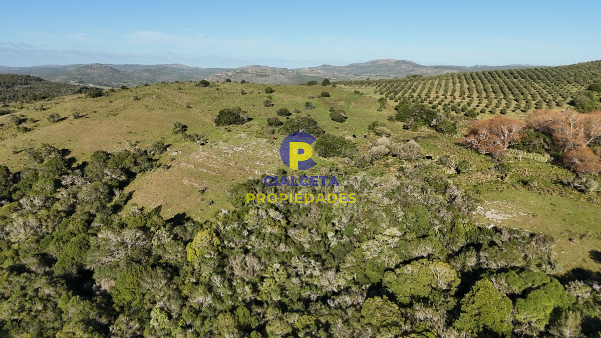 Chacra ID.455 - 5 hectáreas en Zanja del Tigre