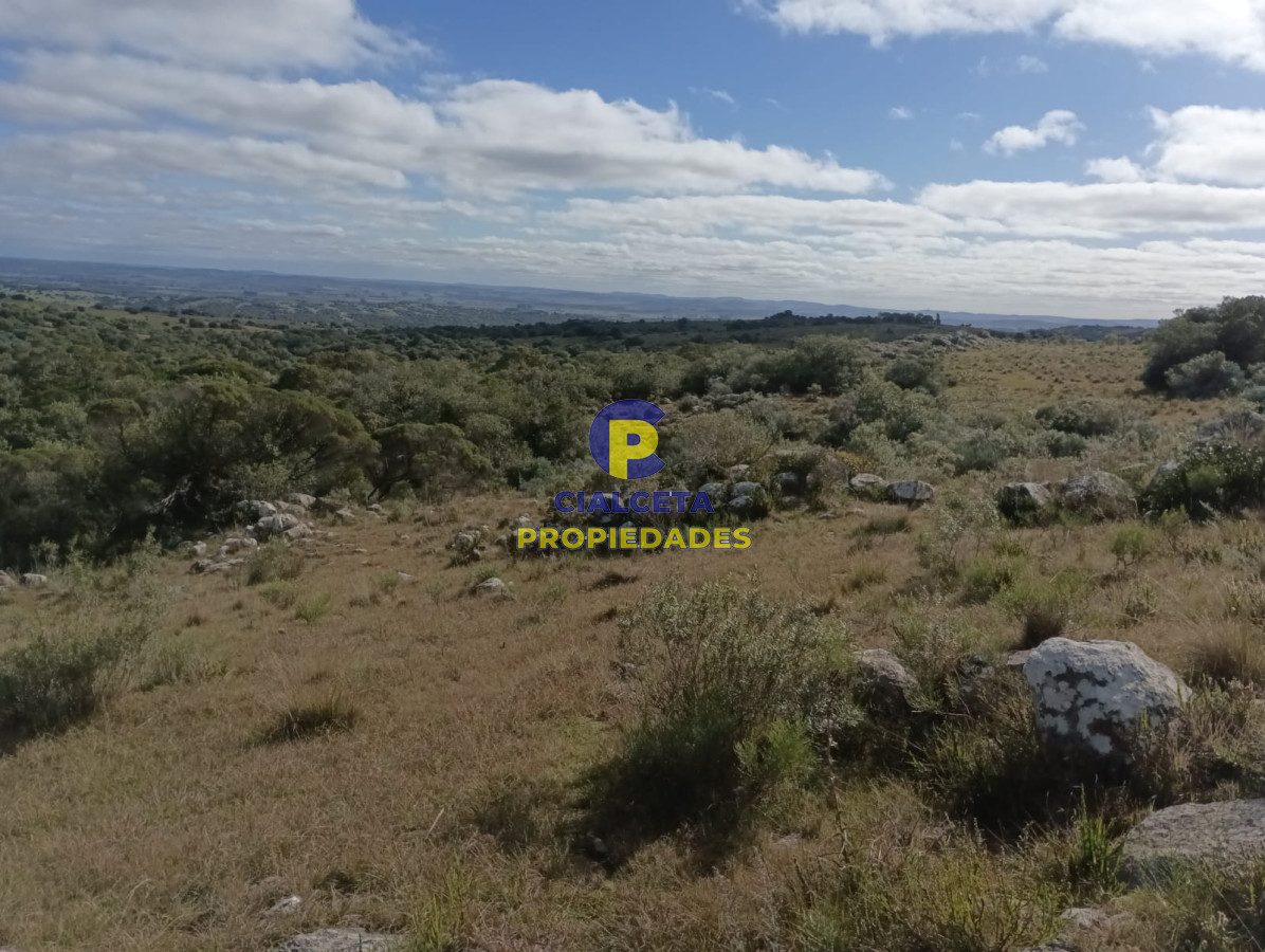 Chacra ID.524 - 8 hectáreas en Maldonado, con monte nativo