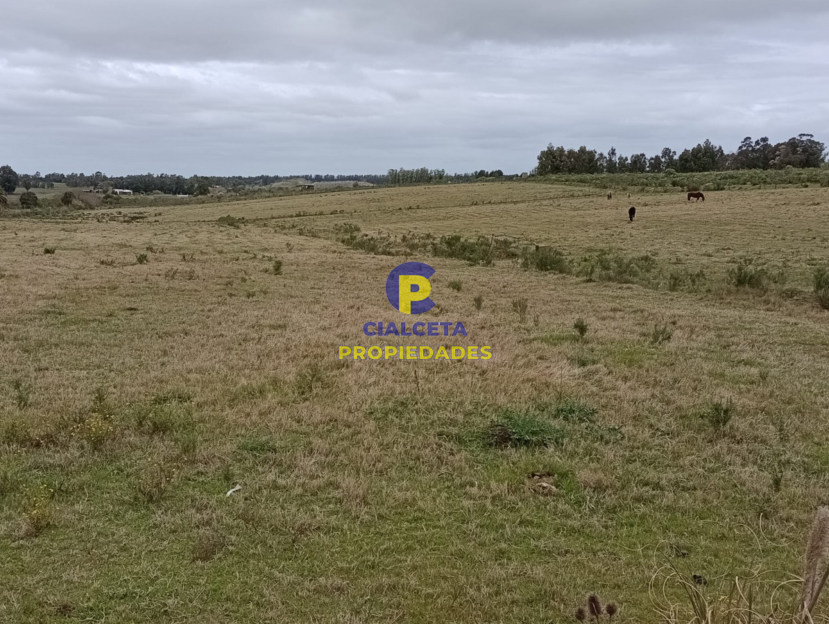 Chacra ID.311 - 5 hectáreas con 8.000 mts en Canelones