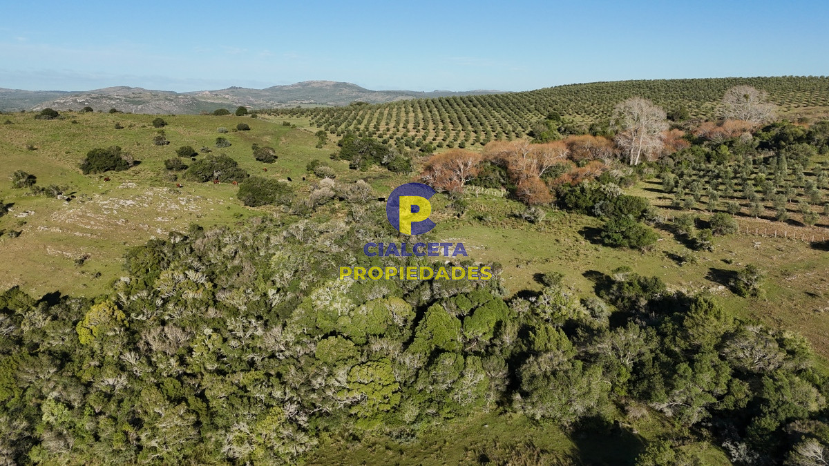Chacra ID.455 - 5 hectáreas en Zanja del Tigre