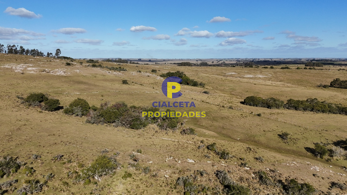 Chacra ID.485 - 7 hectáreas con cañada a 20 km de San Carlos