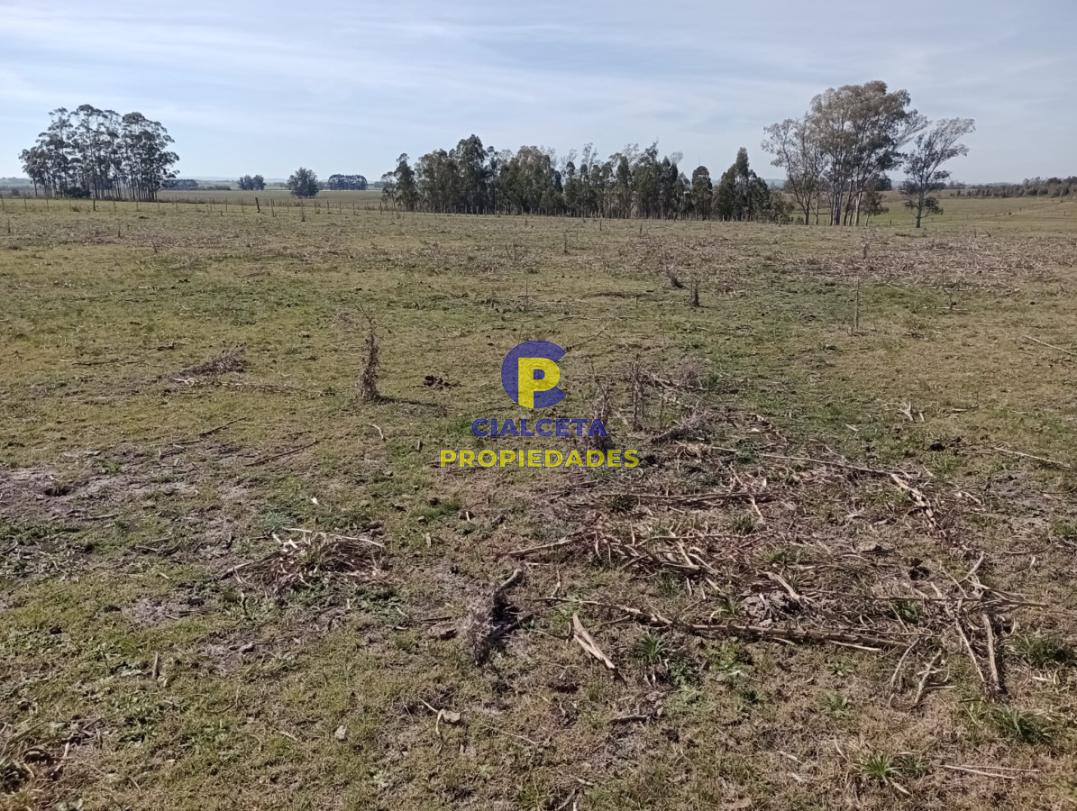 Chacra ID.336 - 5 hectáreas con 8200 metros en Lavalleja