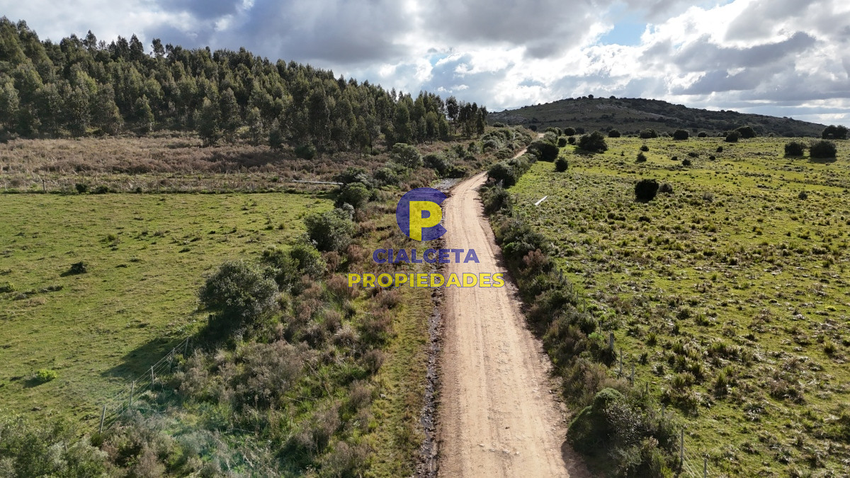 Chacra ID.458 - 5 hectáreas con entrega de 8 mil dólares se financia