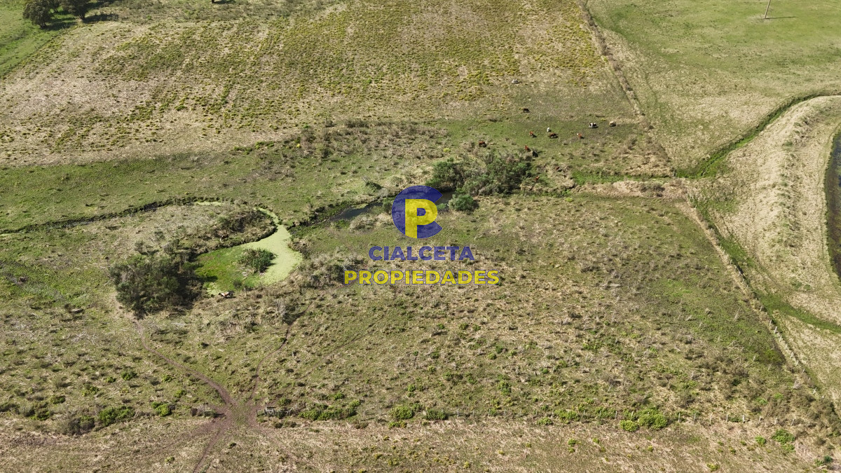 Chacra ID.527 - 3 hectáreas en Migues con aguada y linda vista