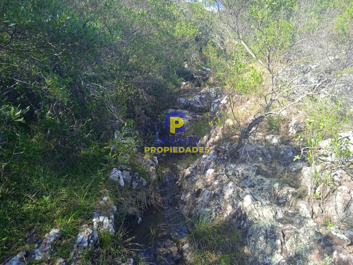 Chacra ID.202 - 5 hectáreas en las Cañas