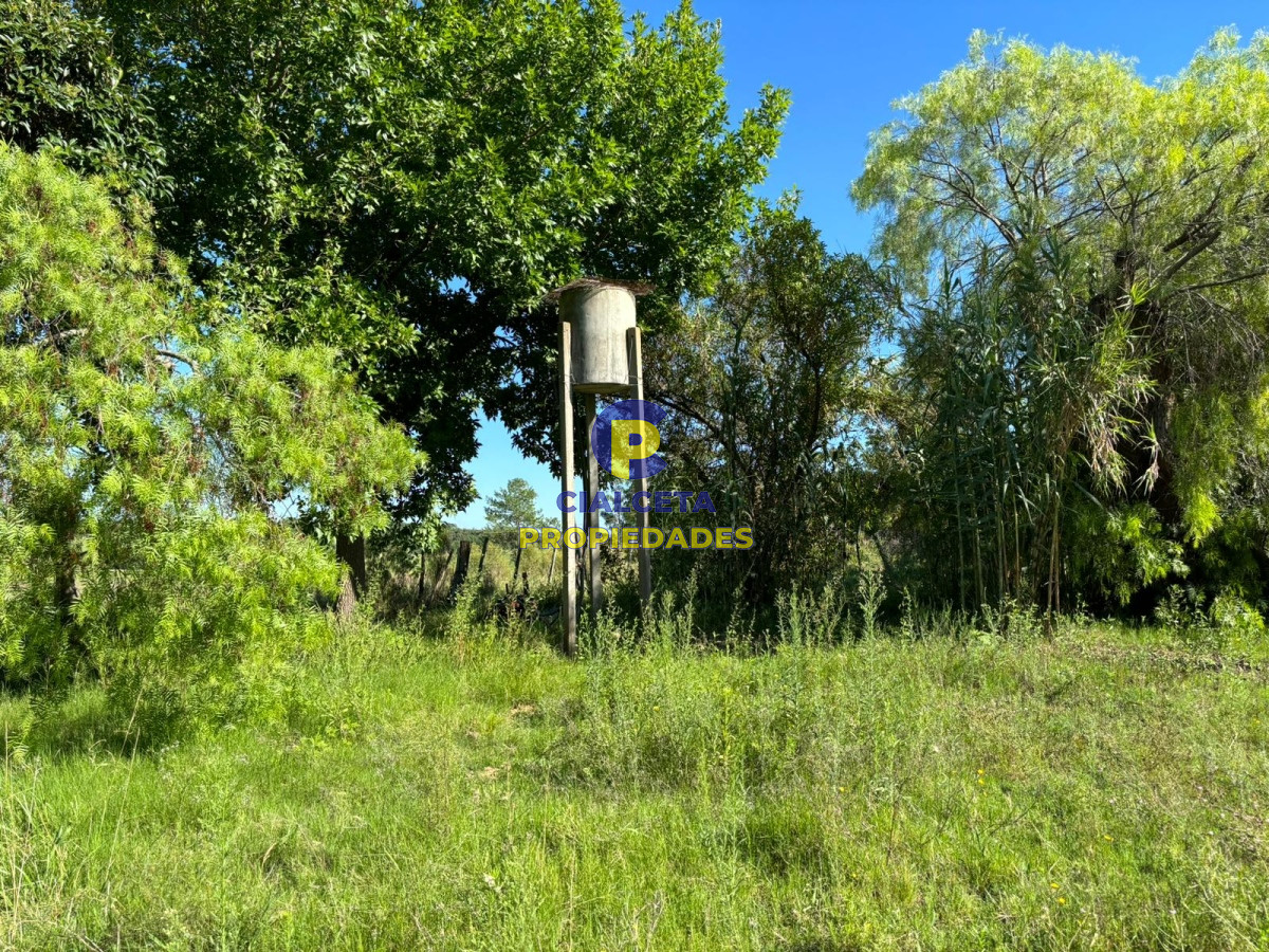 Chacra ID.409 - 8 hectáreas con casa y galpón