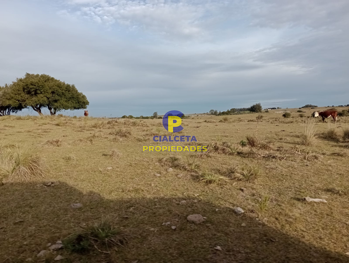 Chacra ID.268 - 5 hectáreas en Malonado