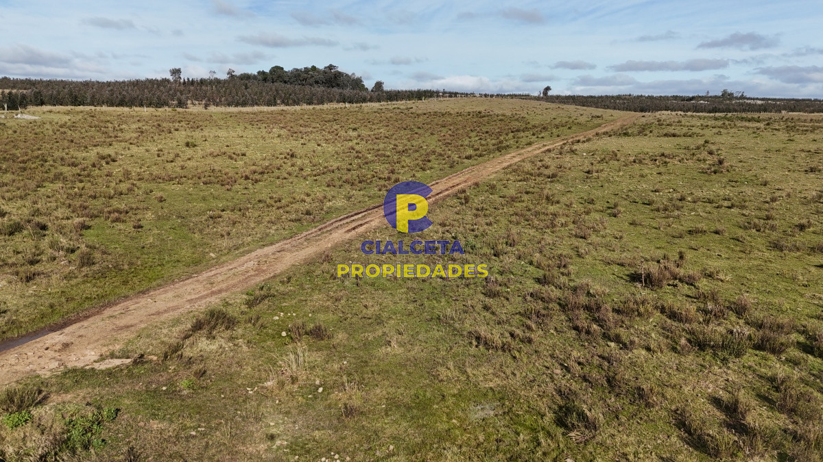 Chacra ID.463 - 7 hectáreas en Lavalleja, entrando por Villa Serrana