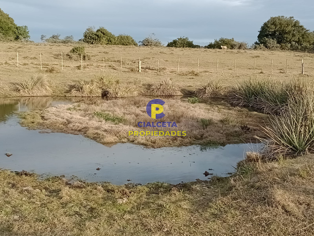 Chacra ID.266 - 5 hectáreas en maldonado