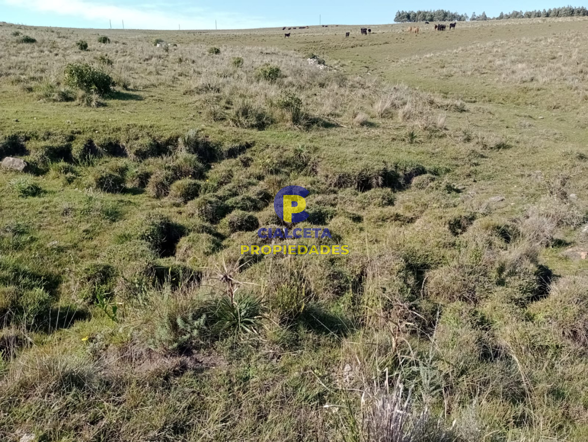 Chacra ID.445 - 14 hectáreas con 7.500 metros en Maldonado