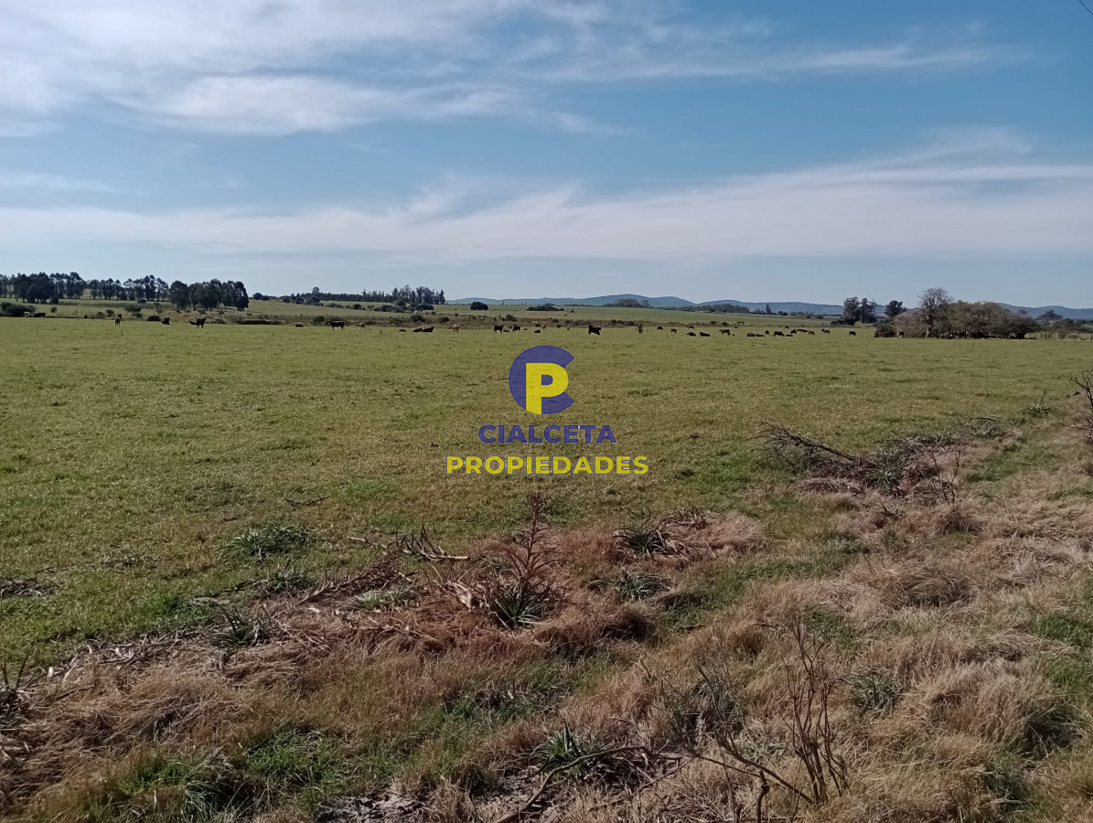 Chacra ID.287 - 5 hectáreas en Maldonado