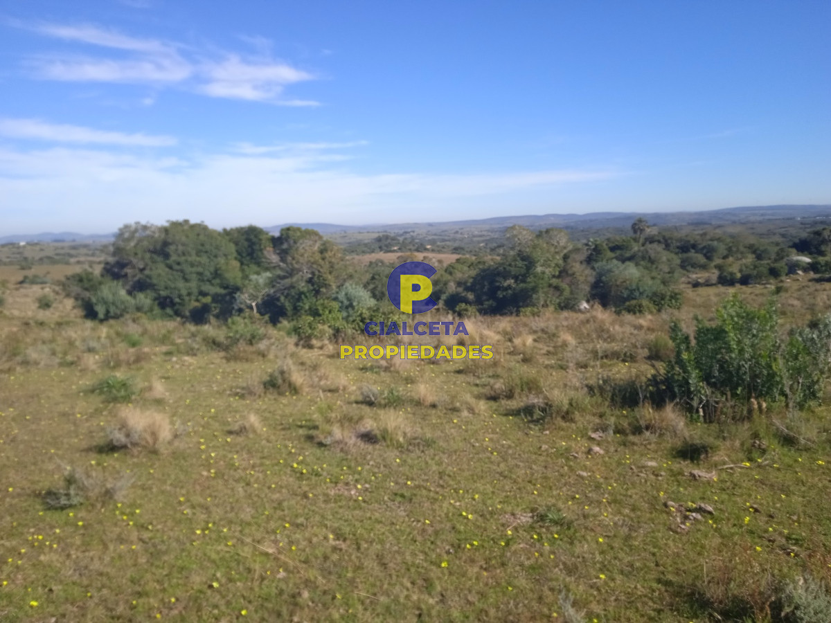 Las Cañas - GoPunta - Portal Inmobiliario de Punta del Este - Maldonado