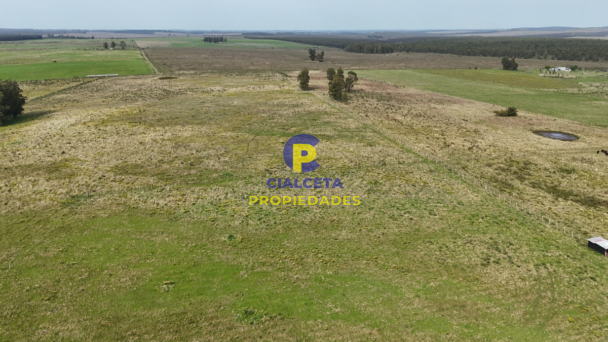 Chacra ID.529 - 3 hectáreas en Noya, departamento de Canelones