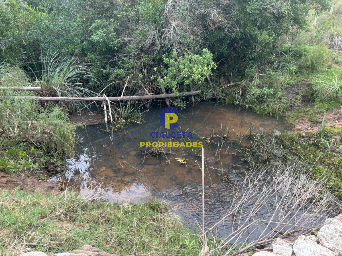 Chacra ID.407 - 3 hectáreas en Las Cañas