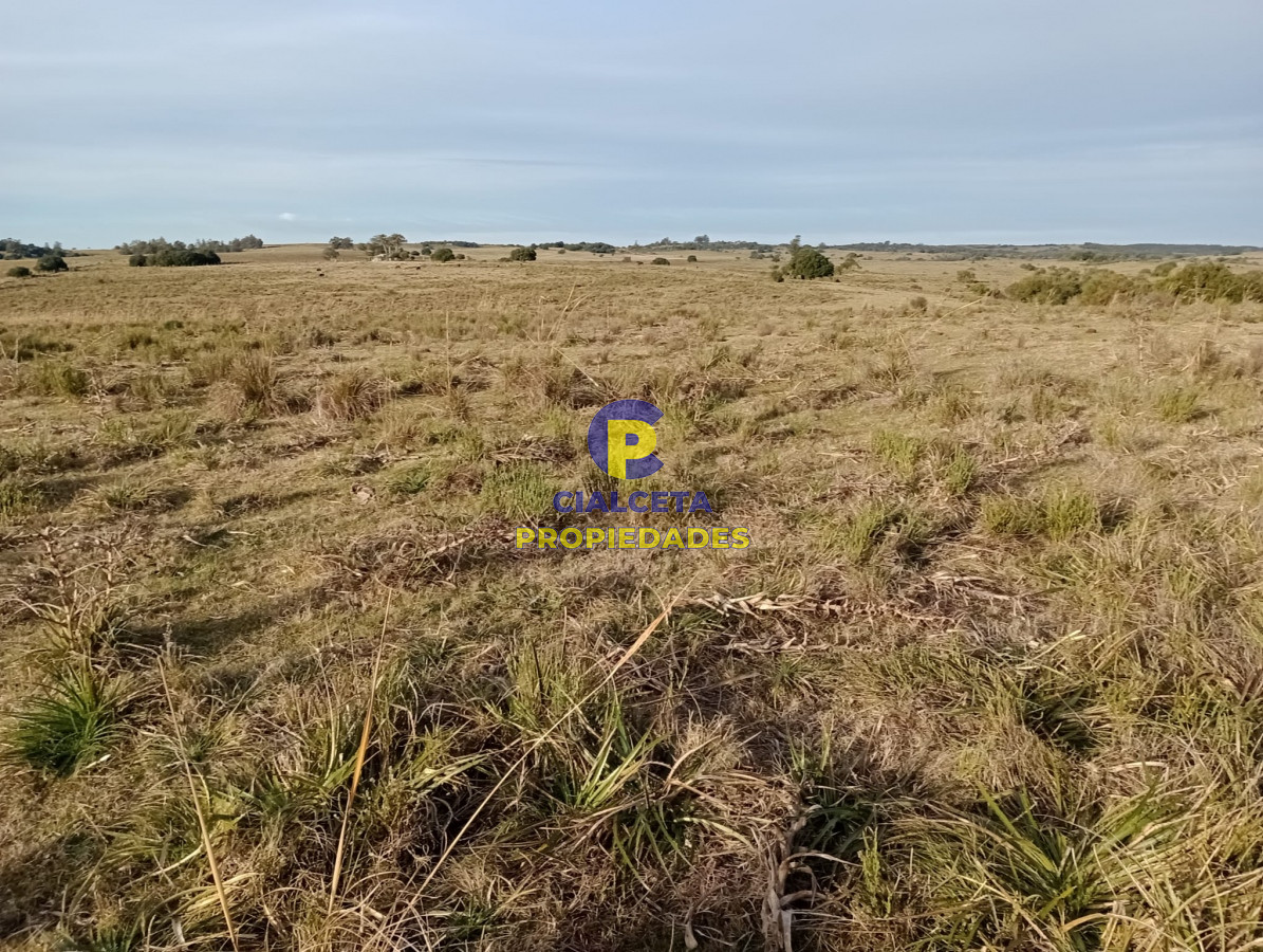 Chacra ID.269 - 5 hectáreas en Maldonado