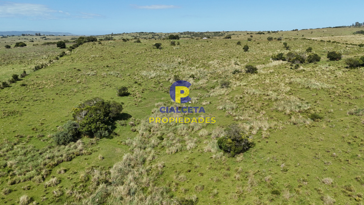 Zona Rural - GoPunta - Portal Inmobiliario de Punta del Este - Maldonado