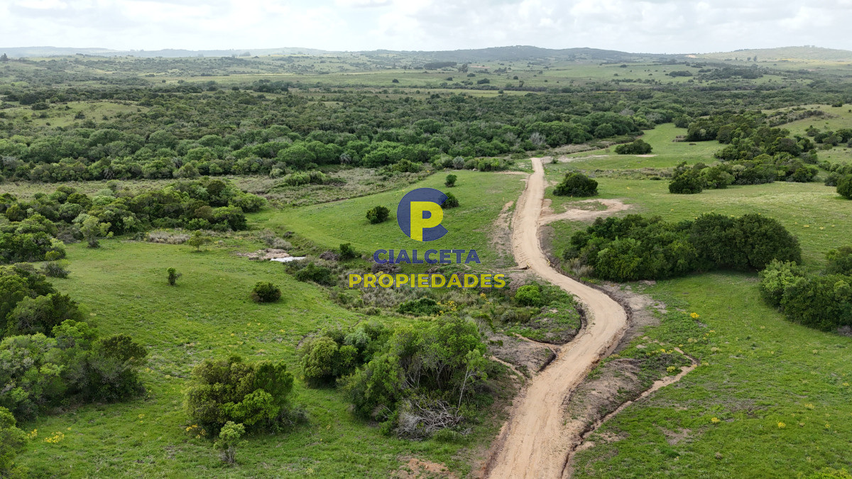 Maldonado - GoPunta - Portal Inmobiliario de Punta del Este - Maldonado