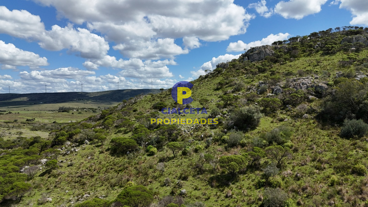 Maldonado - GoPunta - Portal Inmobiliario de Punta del Este - Maldonado