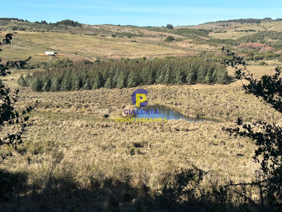 Chacra ID.573 - 5 hectáreas con cabaña impecable a 1o km de Minas