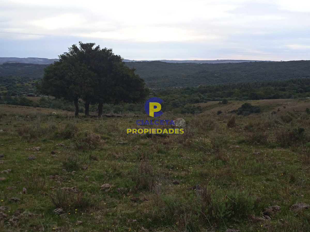 14 hectáreas con 7.500 metros con casa - GoPunta - Portal Inmobiliario de Punta del Este - Maldonado
