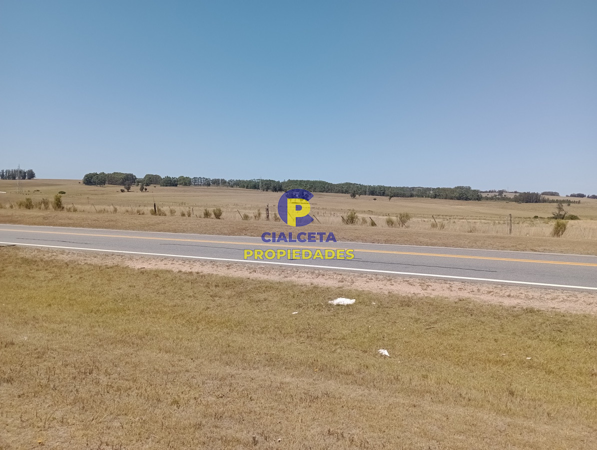Chacra ID.117 - 5 hectáreas en ruta 104