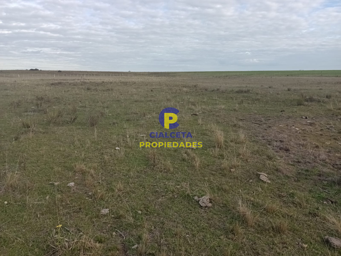 Chacra ID.233 - 5 hectáreas sobre camino, oportunidad !!!