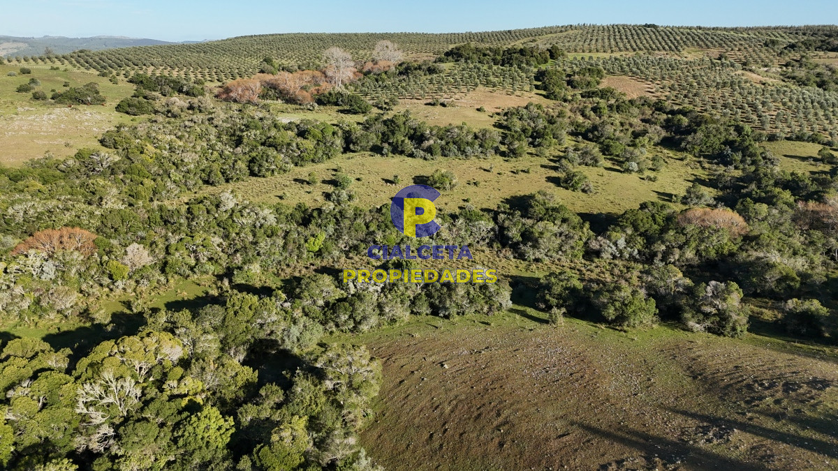 Zona Rural - GoPunta - Portal Inmobiliario de Punta del Este - Maldonado